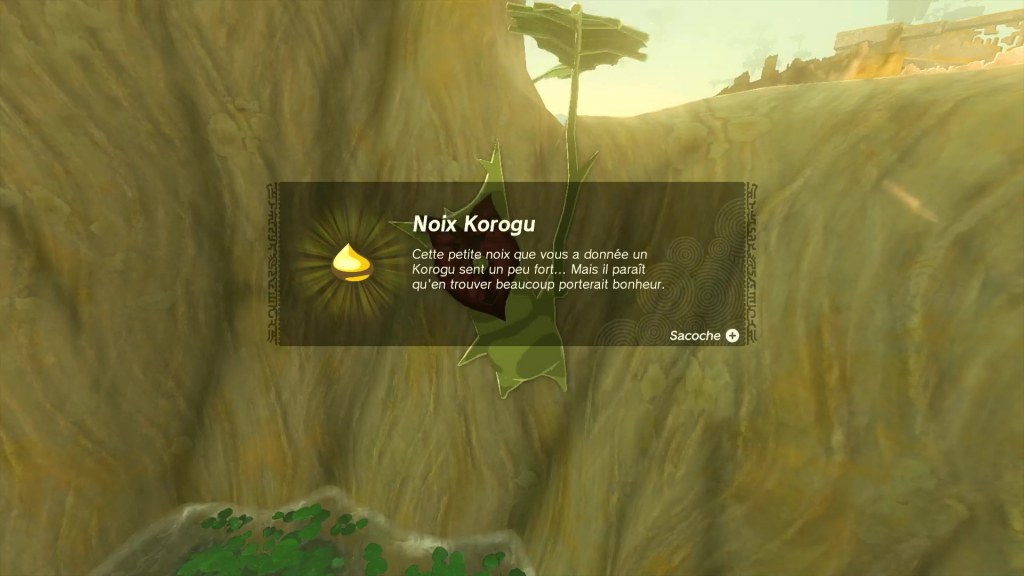 Zelda: Tears of the Kingdom - Korok Seed