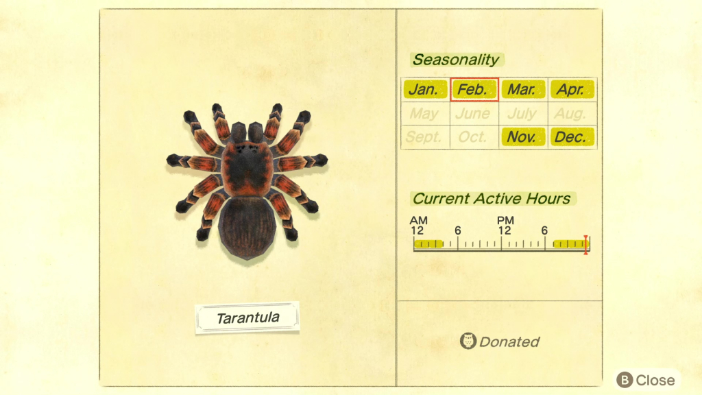Animal Crossing - How to catch a tarentula?