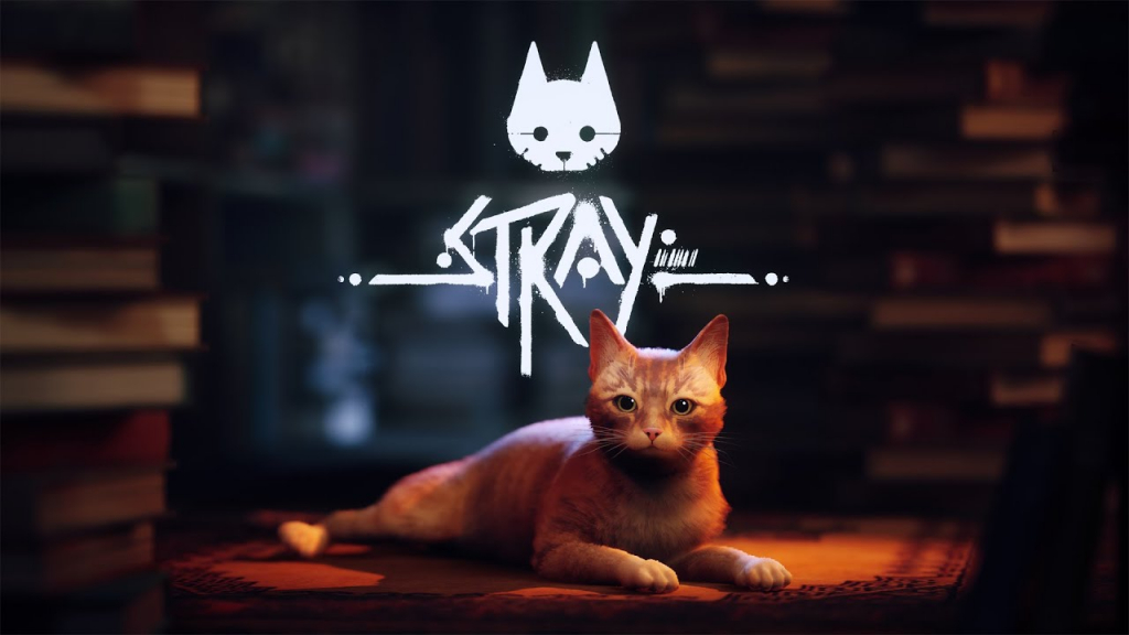 Histoire principale de Stray