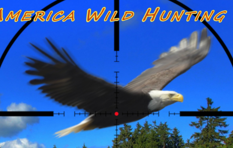 America Wild Hunting