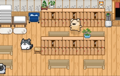 Animal Spa