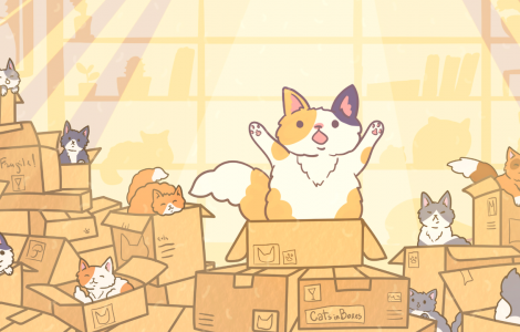 Cats in Boxes