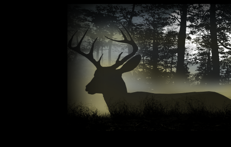Deer Hunting Camp