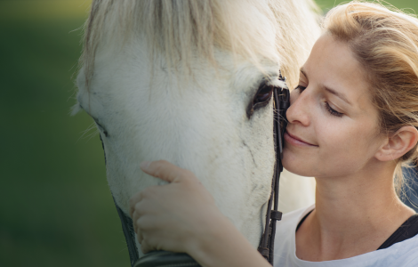 Ma Vie avec les Chevaux 2: Une Nouvelle Aventure