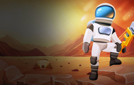 Mars Survivor