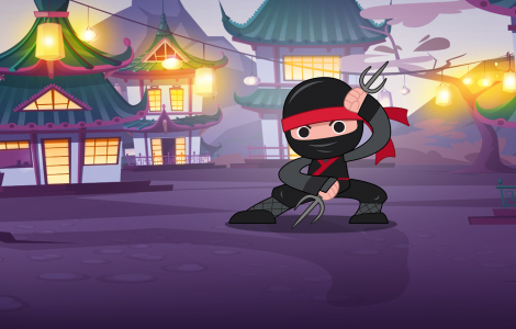 Ninja Fun