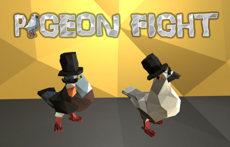 Pigeon Fight