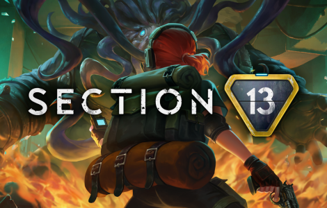 Section 13