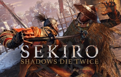 Sekiro : Shadows Die Twice