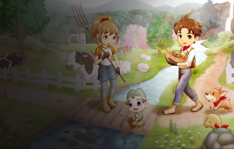 STORY OF SEASONS: A Wonderful life