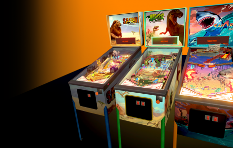 Wild Pinball Bundle