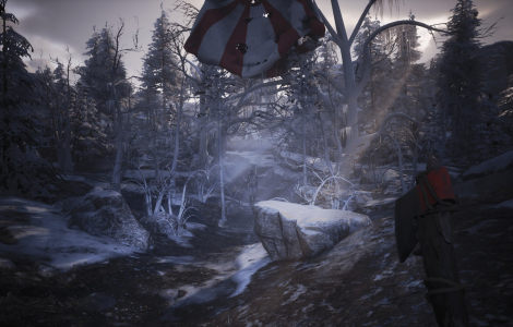 Winter Survival: Prologue
