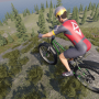 Crossbars