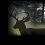 Deer Hunting Camp