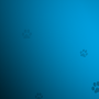 Dogs And Paws
