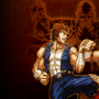 Double Dragon Advance