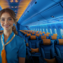 Flight Attendant Simulator: Onboard Tasks