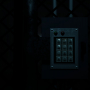 Forest Asylum