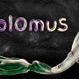 Isolomus