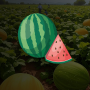 The Jumping Melon Rush 2 -