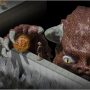Lost City of Bardo