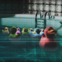 THE POOLS
