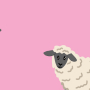 The Sheep Quiz