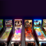Sports and Adventure Pinball
