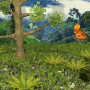 Wild Island Quest