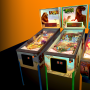 Wild Pinball Bundle