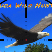 America Wild Hunting