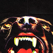 Canine