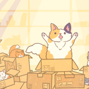 Cats in Boxes