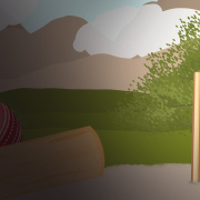 The Cricket C