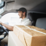 Delivery Driver - The Simulation