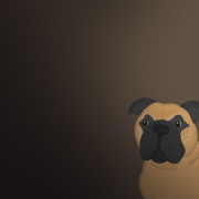 The Dog Quiz