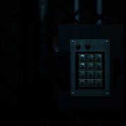 Forest Asylum