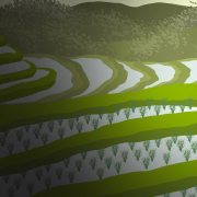 The Rice Story
