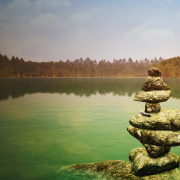 Walden, a game