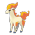 Ponyta