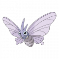 Venomoth est de la famille de Venonat