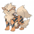 Arcanine est de la famille de Arcanine