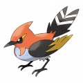 Fletchinder est de la famille de Fletchling