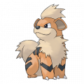 Growlithe est de la famille de Arcanine