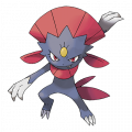 Weavile est de la famille de Weavile