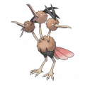 Dodrio est de la famille de Dodrio