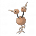 Doduo est de la famille de Dodrio