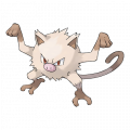 Mankey est de la famille de Mankey