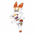 Scorbunny est de la famille de Scorbunny