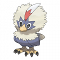 Rufflet est de la famille de Rufflet